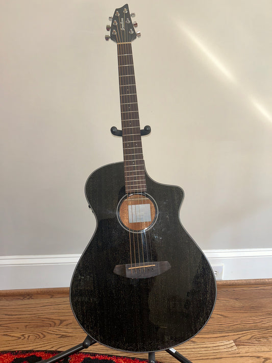 Acoustic Guitar